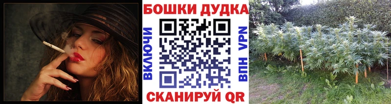 Купить закладки  Пятигорск  Канабис сатива 